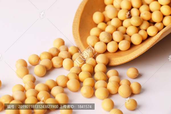 黃豆