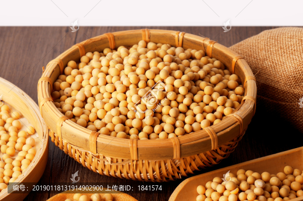 黃豆