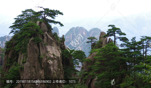 黃山小夢幻