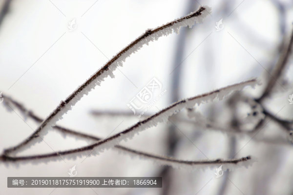 霧凇