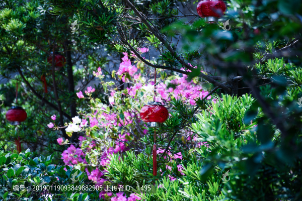 中式花園