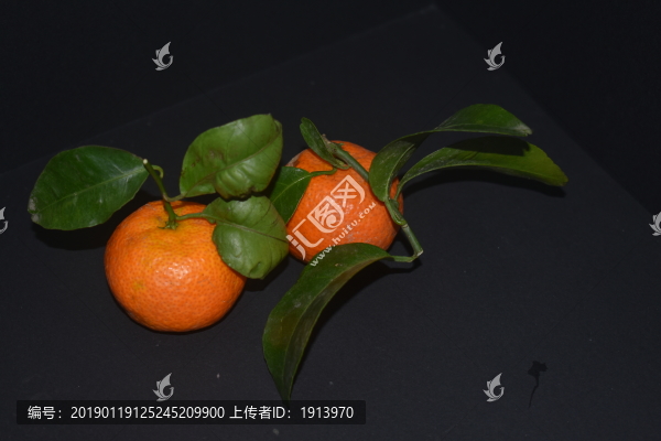 柑子