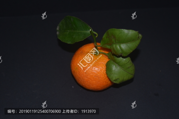 柑子