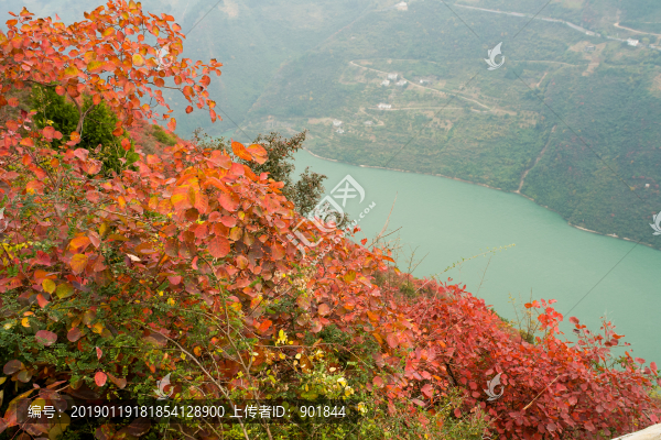 巫峽風(fēng)光巫山紅葉