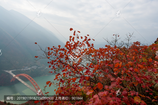 巫峽風(fēng)光巫山紅葉