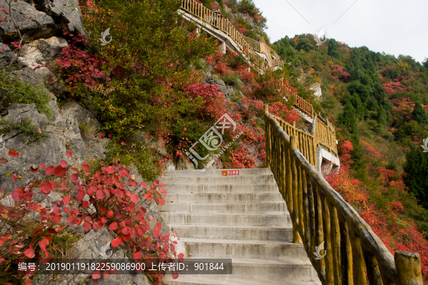 巫峽風(fēng)光巫山紅葉