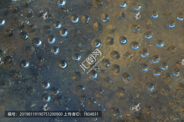 玻璃