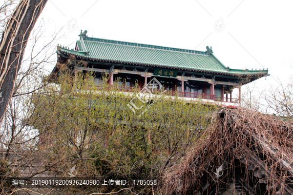 匯波樓