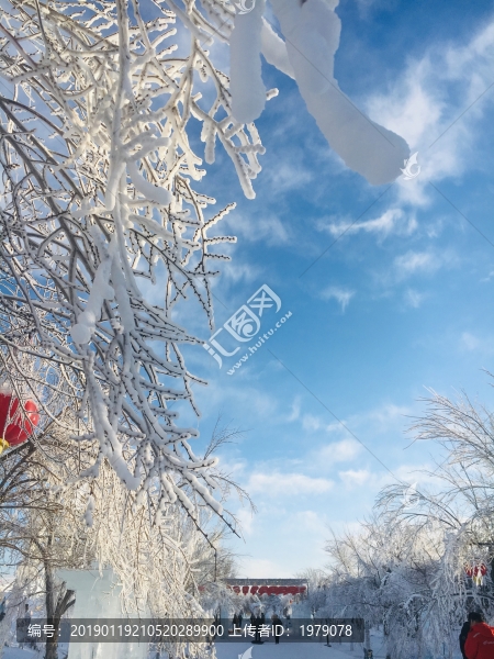 藍天白雪