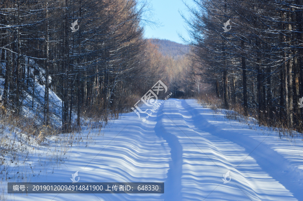 林區(qū)雪路