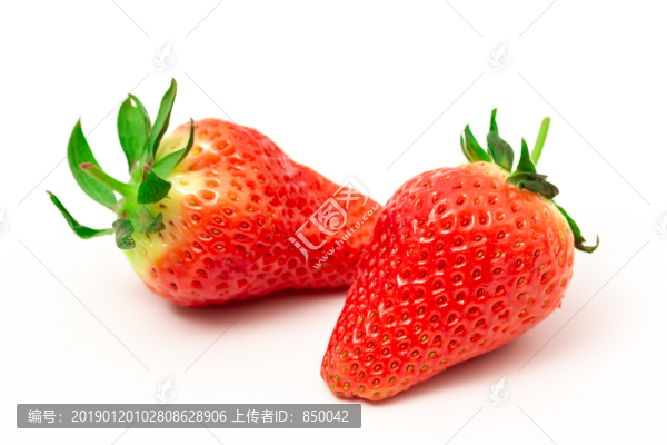 新鮮大草莓