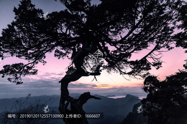 光霧山風(fēng)光