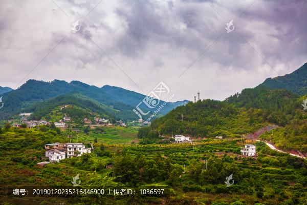 青杠坡村風(fēng)光