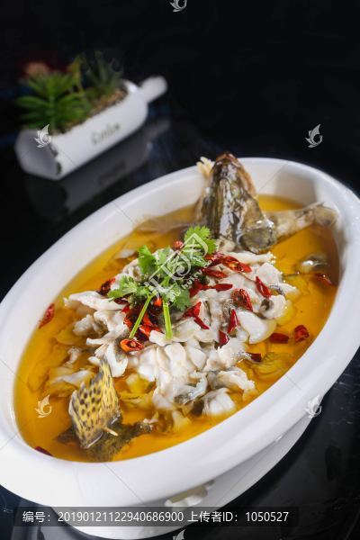 沸騰桂魚(yú)