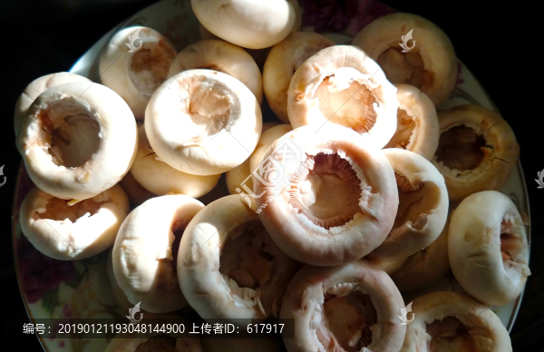 蘑菇