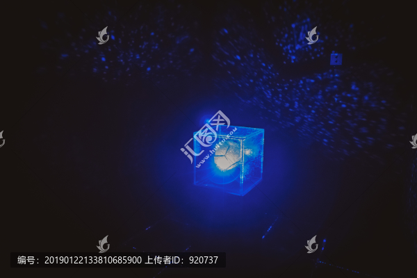 真人密室逃脫