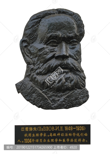 巴甫洛夫