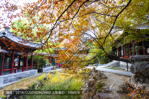 頤和園的秋
