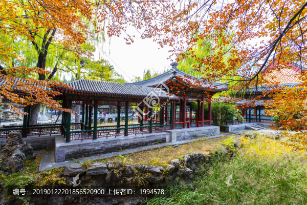 頤和園秋天