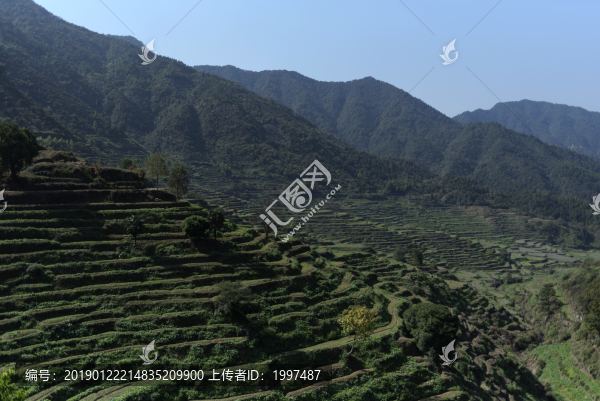 婺源篁嶺景區(qū)梯田景觀