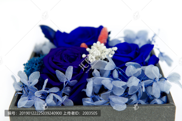 永生花