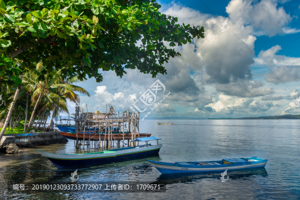 海邊椰樹(shù)小船