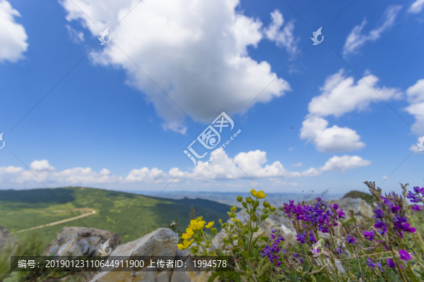 風(fēng)景