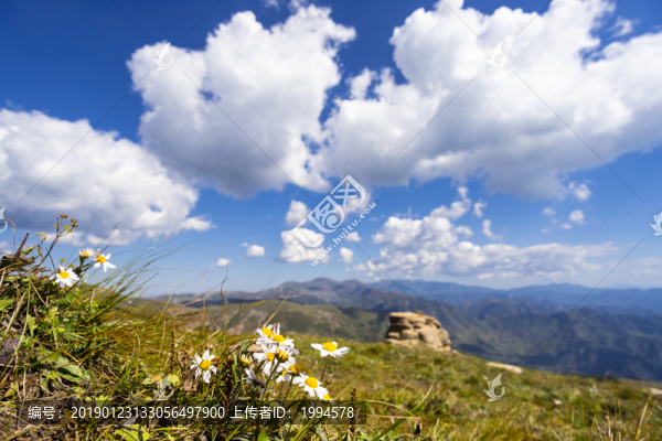 風(fēng)景