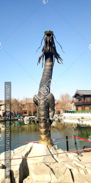 龍