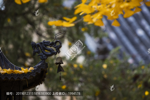 銀杏