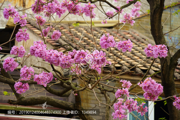 沙灣古鎮(zhèn)