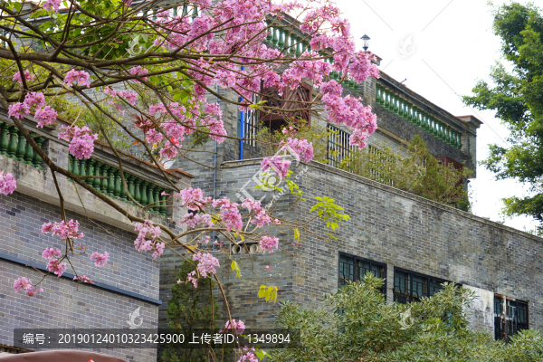 沙灣古鎮(zhèn)
