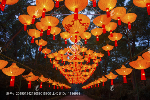 節(jié)日彩燈