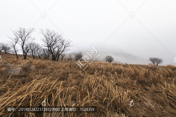 荒山云霧
