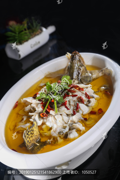 沸騰桂魚(yú)