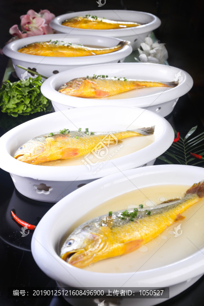 深水黃魚