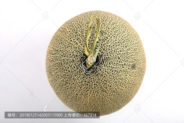 哈密瓜