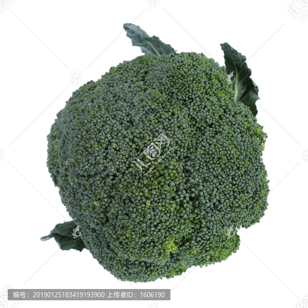 西蘭花