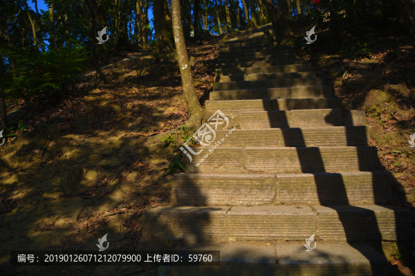 景區(qū)山路