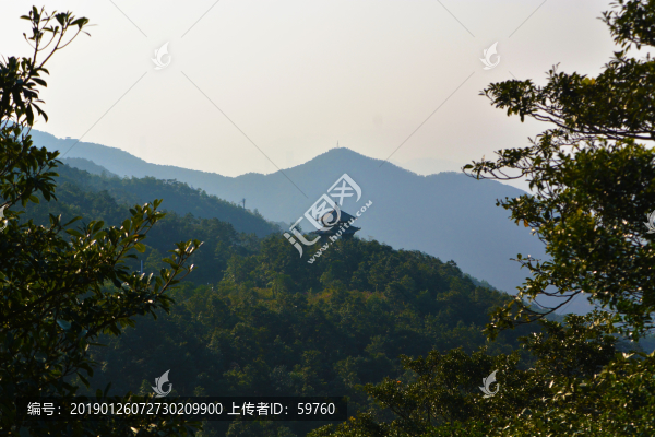 梧桐山風(fēng)光