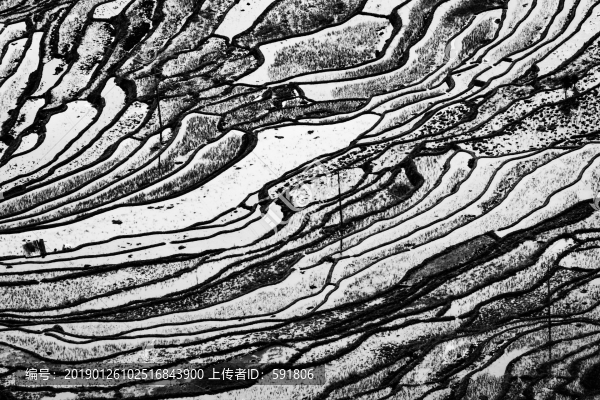 水墨梯田