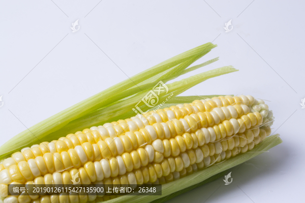 玉米