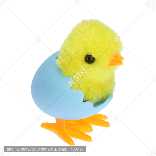 小雞