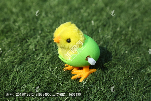 小雞