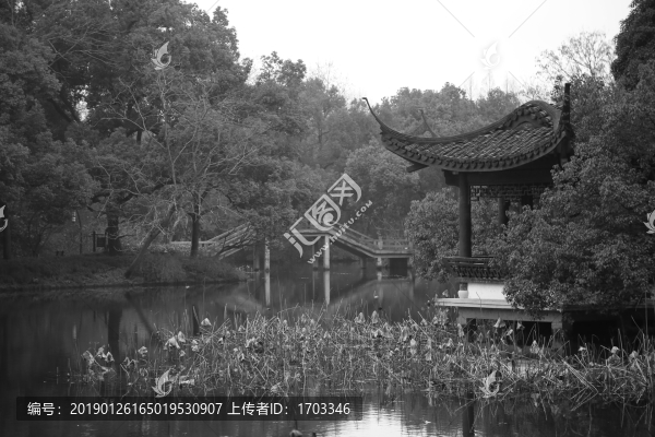 杭州老照片