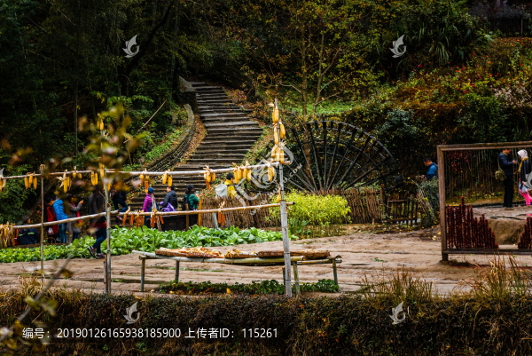 曬秋游人菜園