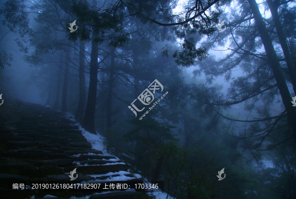 廬山云霧森林