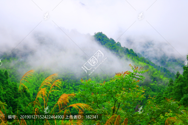 雨后青山云霧