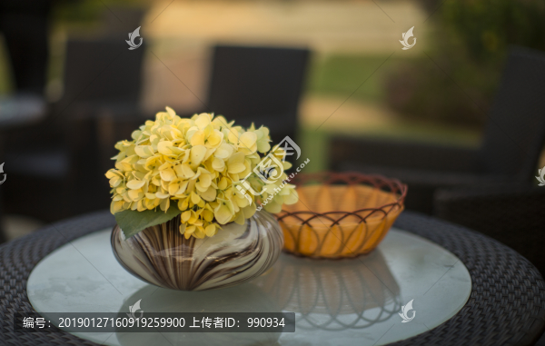 臺(tái)花