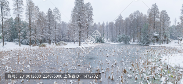 武漢雪景風(fēng)光